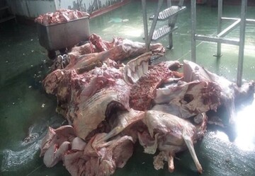 برخورد کارشناسان دامپزشکی دزفول با ۳ متخلف بهداشتی