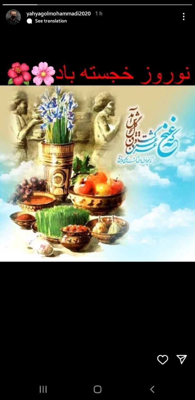 گل محمدی برگشت!/عکس