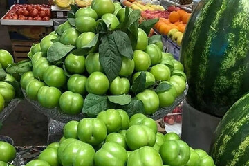 نرخ مصوب انواع میوه اعلام شد/ قیمت گوجه سبز سر به فلک کشیده!