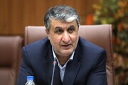 رئيس الطاقة الذرية الايرانية: الوكالة الذرية رهينة الصهاينة