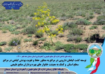 بهترین باریکه کشور در اختیار سمنانی ها/فرآوری گیاهان دارویی موجب توانمندی اقتصادی استان سمنان می شود بهترین باریکه کشور در اختیار سمنانی ها/فرآوری گیاهان دارویی موجب توانمندی اقتصادی استان سمنان می شود