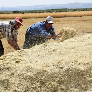 پرداخت۱۹میلیاردی زکات درچهارمحال وبختیاری