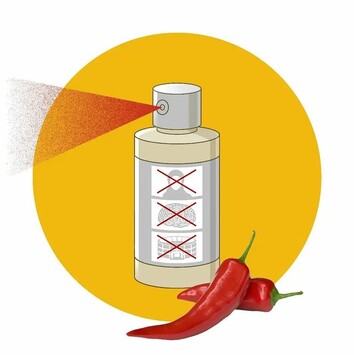 جدیدترین کاربرد اسپری فلفل را ببینید!