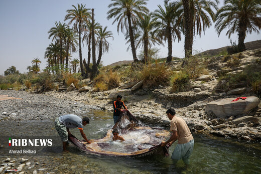 آئین سنتی خانه تکانی قوم بلوچ در استقبال از ماه رمضان