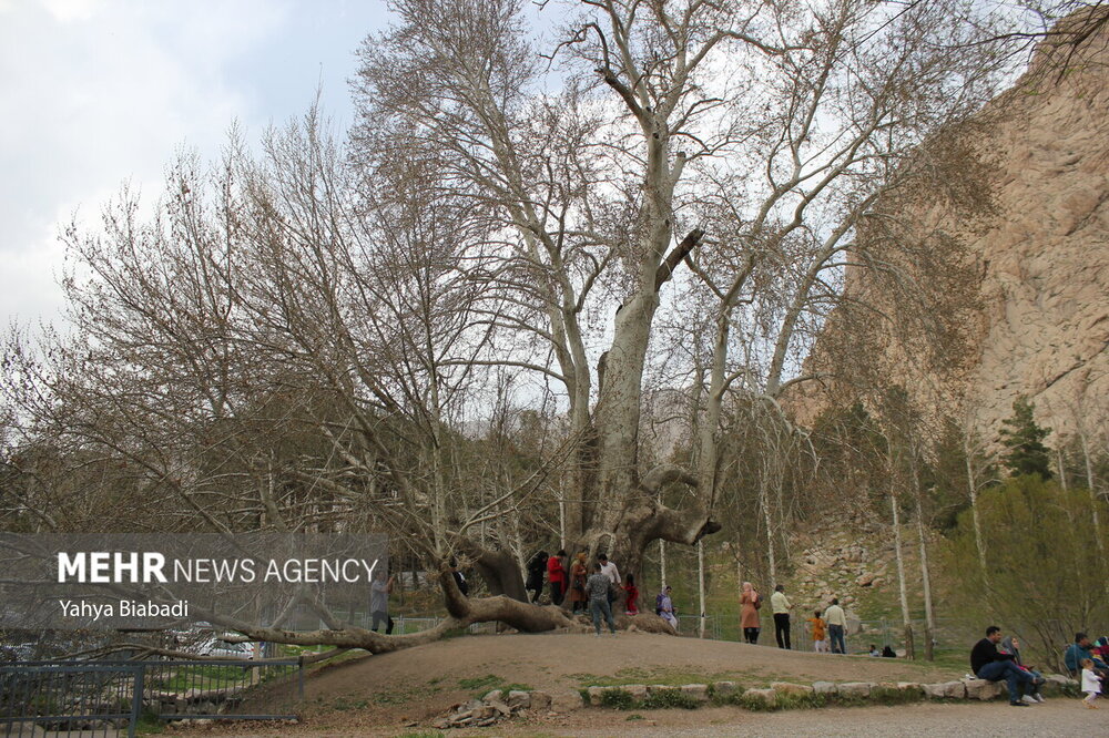مجموعه تاریخی«طاق بستان» میزبان گردشگران نوروزی