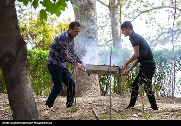 روز طبیعت در تهران