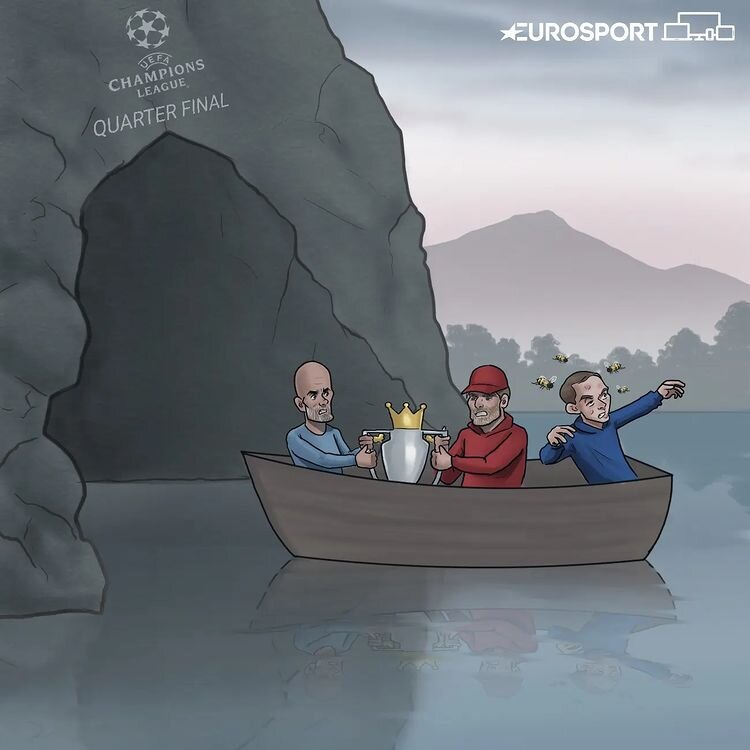 ببینید زنبورها با توخل چه کردند!