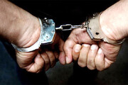 ۱۸ عامل انتشار شایعه تجاوز به یک زن در قشم بازداشت شدند