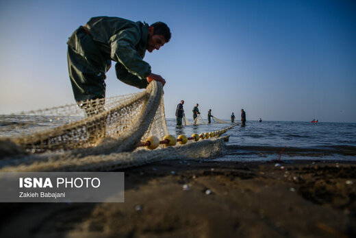 پایان فصل صید ماهیان استخوانی دریای خزر