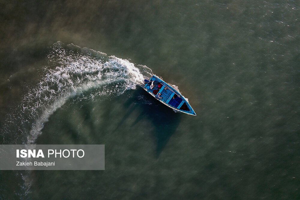 پایان فصل صید ماهیان استخوانی دریای خزر