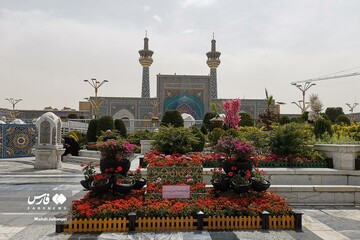 گل آرایی محل شهادت حاج محمد اصلانی در حرم رضوی