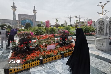 گل آرایی محل شهادت حاج محمد اصلانی در حرم رضوی