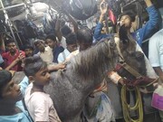 ماجرای ویدئوی ویرالی اسب‌سواری در قطار شهری هند چیست؟ / عکس