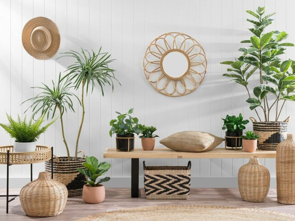 ۱۰ منبع خانگی که باعث ایجاد علائم آلرژی در خانواده شما میشوند