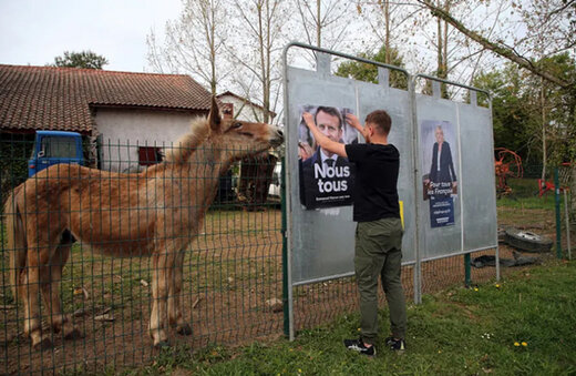 چسباندن پوسترهای دو نامزد رقیب مرحله دوم انتخابات ریاست جمهوری فرانسه