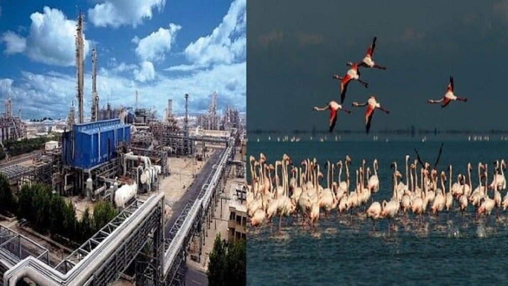 مقاومت علیهاجرای دستور رئیس جمهور درباره میانکاله به درون قوه مجریه رسید / هشدار تند وزنامه دولت به استاندار مازندران