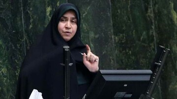 توییت مدیرعامل خبرگزاری قوه قضائیه در باره حواشی بازداشت برادر نماینده بروجرد