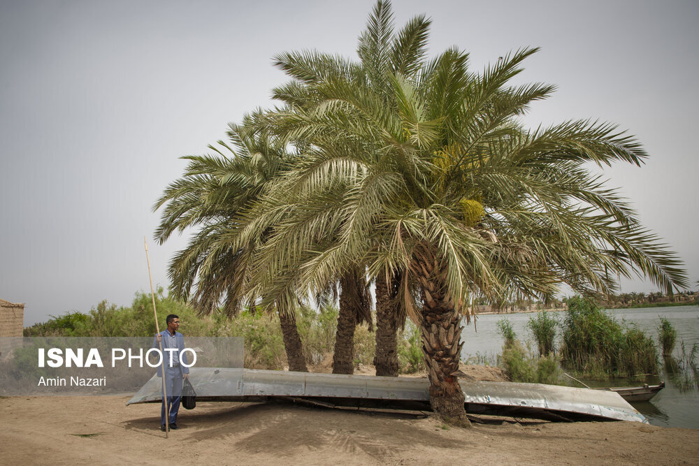 قایقی به سوی مدرسه