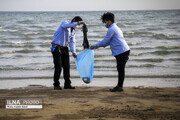 تصاویر | ساحل خلیج فارس پاکسازی شد