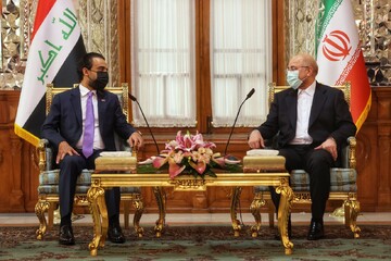 Iran's Speaker hosts Iraqi counterpart in Tehran