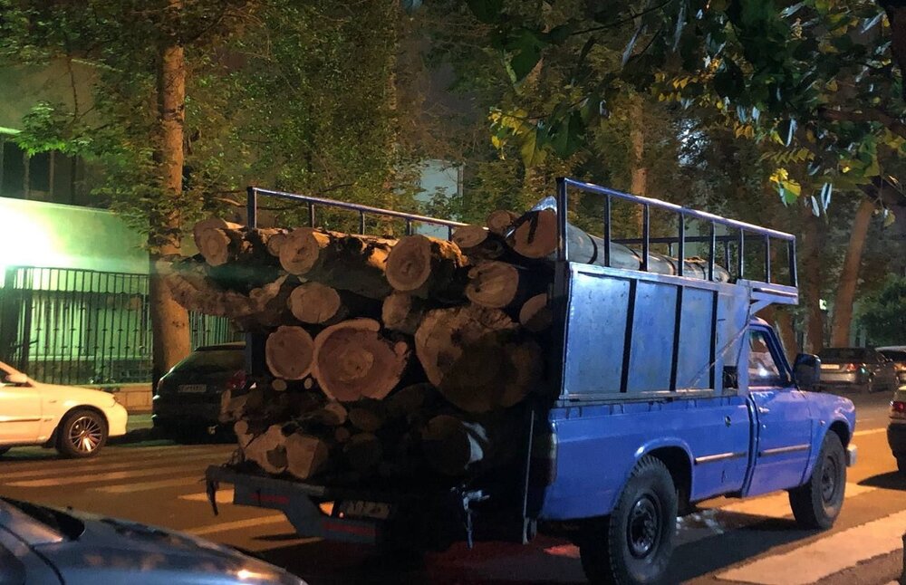 قطع شبانه درختان خیابانی در منطقه ۶ تهران؛ شهرداری توضیح داد/ عکس