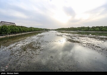 زاینده رود نیمه جان
