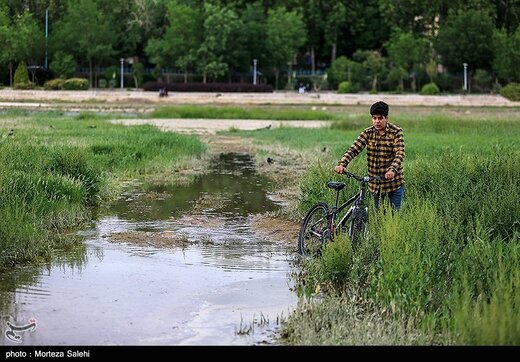 زاینده رود نیمه جان