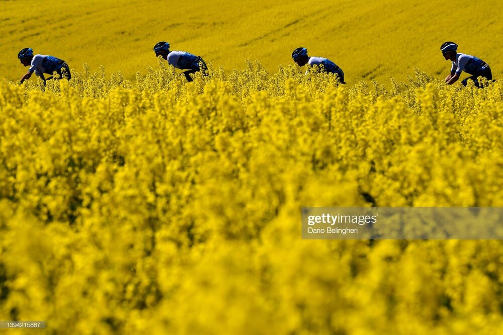 تصاویر جذاب از دنیای ورزش در هفته گذشته