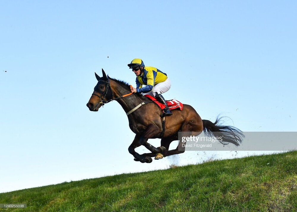 تصاویر جذاب از دنیای ورزش در هفته گذشته