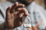 بازداشت اعضای باند قاچاق کوکایین در ایران