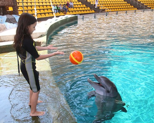 چگونه ارزان به کیش سفر کنیم؟