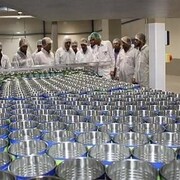 ثبت رکورد جدید صادرات محصول شیرخشک درچهارمحال وبختیاری