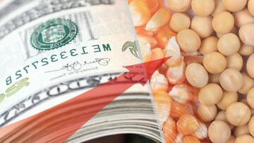 نماینده مجلس : دولت به هیچ یک از تعهدات خود درباره مقدمات حذف ترجیحی عمل نکرد