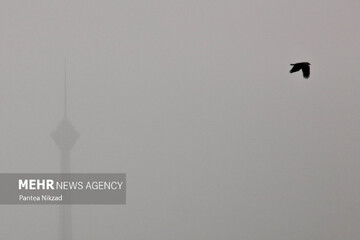 پیشبینی آینده ریزگردها ؛ برخی از مناطق مسکونی کشور تخلیه میشود پیشبینی آینده ریزگردها ؛ برخی از مناطق مسکونی کشور تخلیه میشود