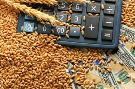خرید بیش از یک میلیون و ۳۲۰ هزار تن گندم در خوزستان / پرداخت ۸۸۰۰ میلیارد به کشاورزان
