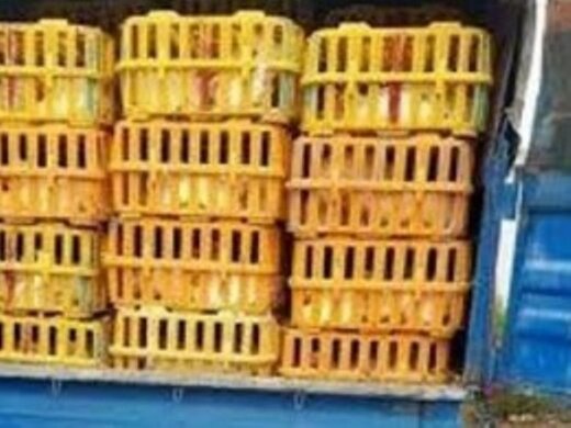 توقیف کامیون حامل مرغ زنده قاچاق در آوج  