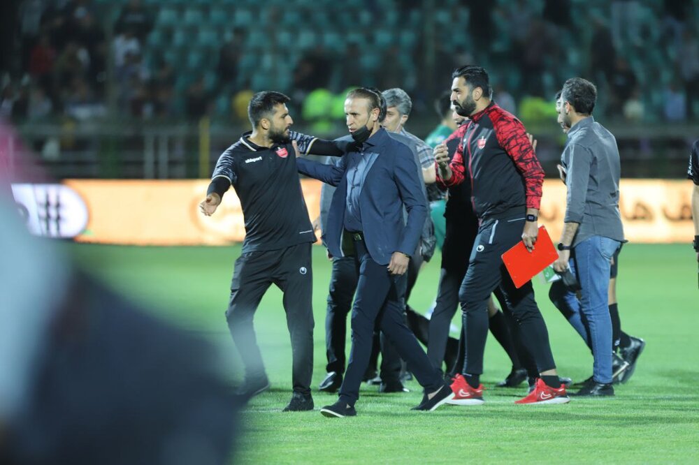 گل محمدی دوباره از کوره در رفت/عکس