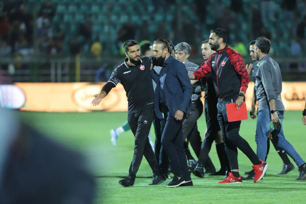 گل محمدی دوباره از کوره در رفت/عکس