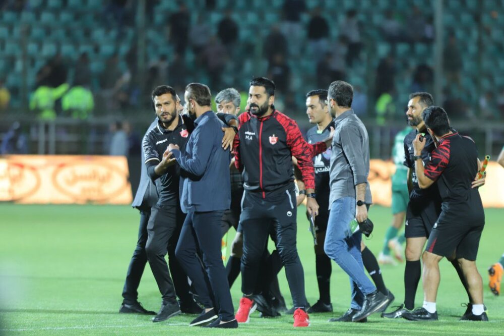 گل محمدی دوباره از کوره در رفت/عکس