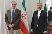 تواصل المفاوضات في طهران بين باقري ومورا