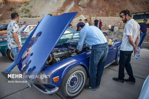 همایش خودروهای کلاسیک در شیراز