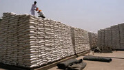 ممنوعیت صادرات گندم هند با افزایش بحران غذایی در جهان