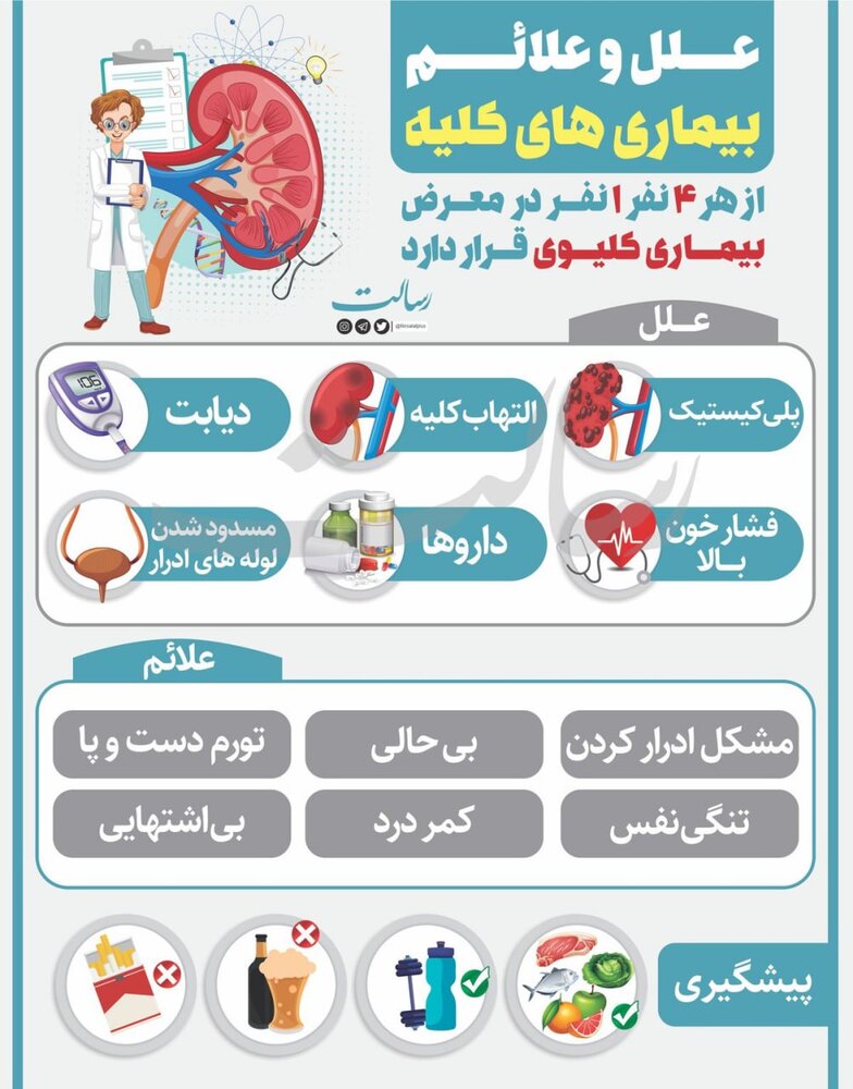 اینفوگرافیک | علل و علائم بیماریهای کلیه
