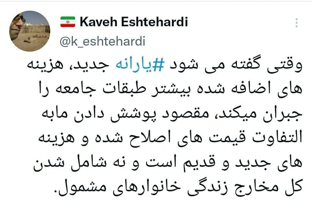 یارانه جدید چه بخشی از هزینه معیشت مشمولان را پوشش می دهد؟ / دستیار معاون اول رئیسی توضیح داد