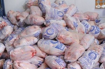 جریمه میلیاردی قاچاقچی مرغ در قزوین