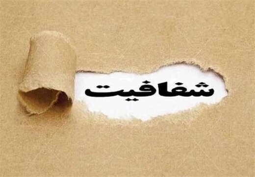 نماینده مجلس منتقد طرح شفافیت: تضمین می دهید، امنیت من و خانواده ام بعد از رای، تهدید نشود؟ / چرا نباید رأی وزیر هم در جلسه هیئت دولت شفاف باشد؟