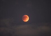 تصاویر | ماه گرفتگی کامل در نیویورک