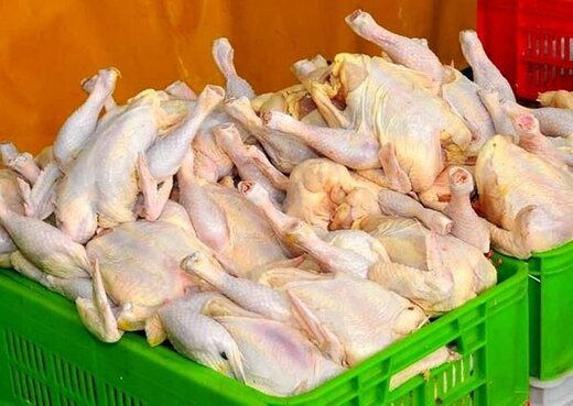 قیمت مرغ کیلویی ۷۵۰۰تومان بالارفت ؛ دولت سکوت کرد