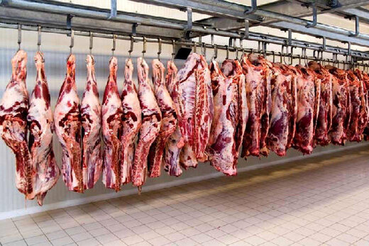 واردات گوشت قرمز گرم از روسیه و پاکستان آغاز شد 