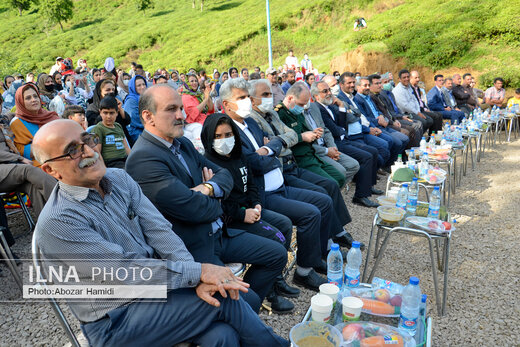 جشنواره چای در املش گیلان